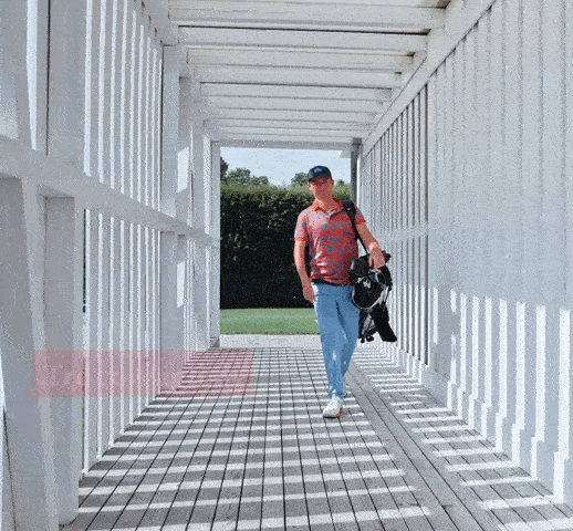 Miro_Waldvogel_1x1_IT.gif