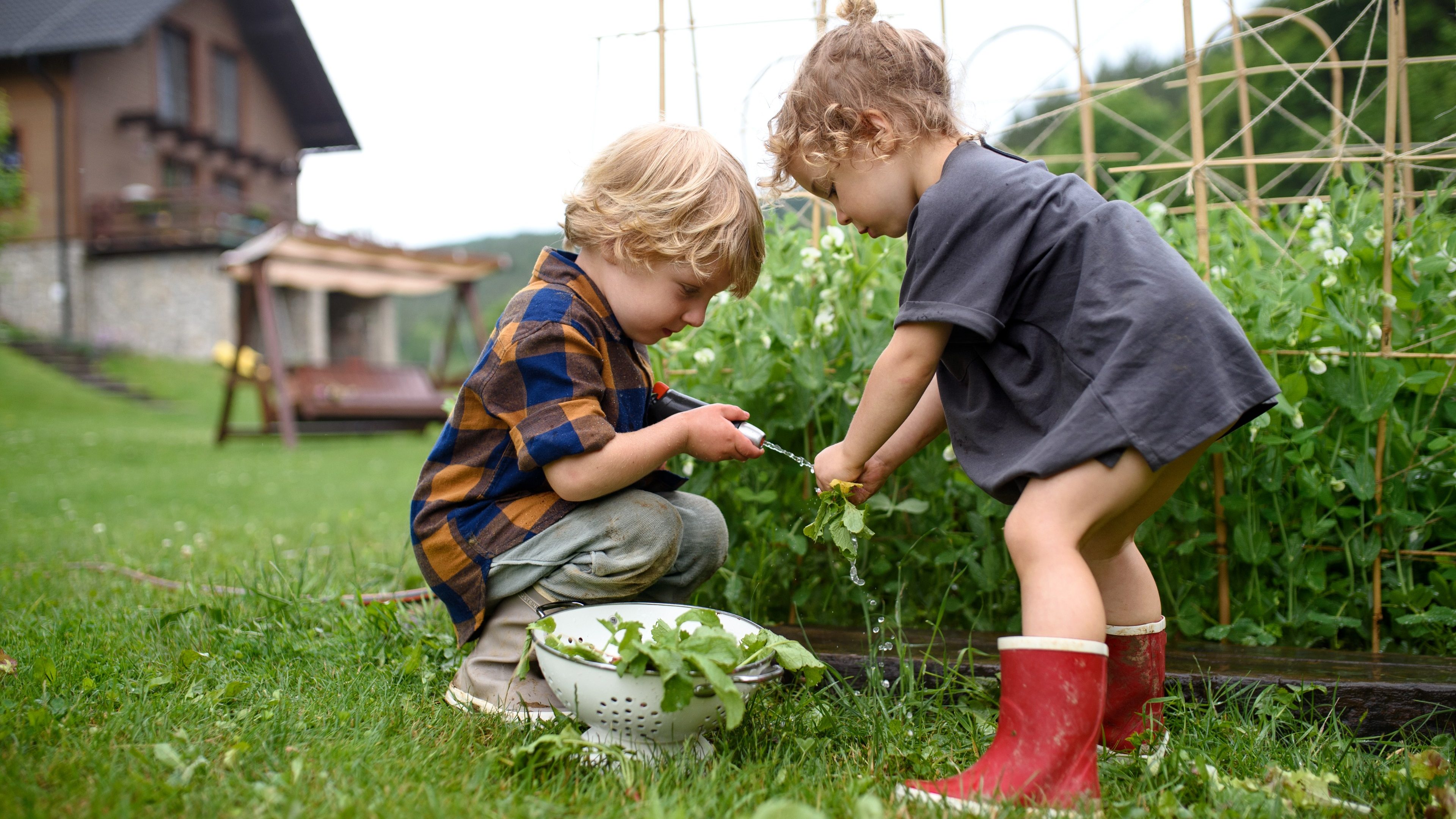 Two small children in vegetable garden, sustainable lifestyle concept.