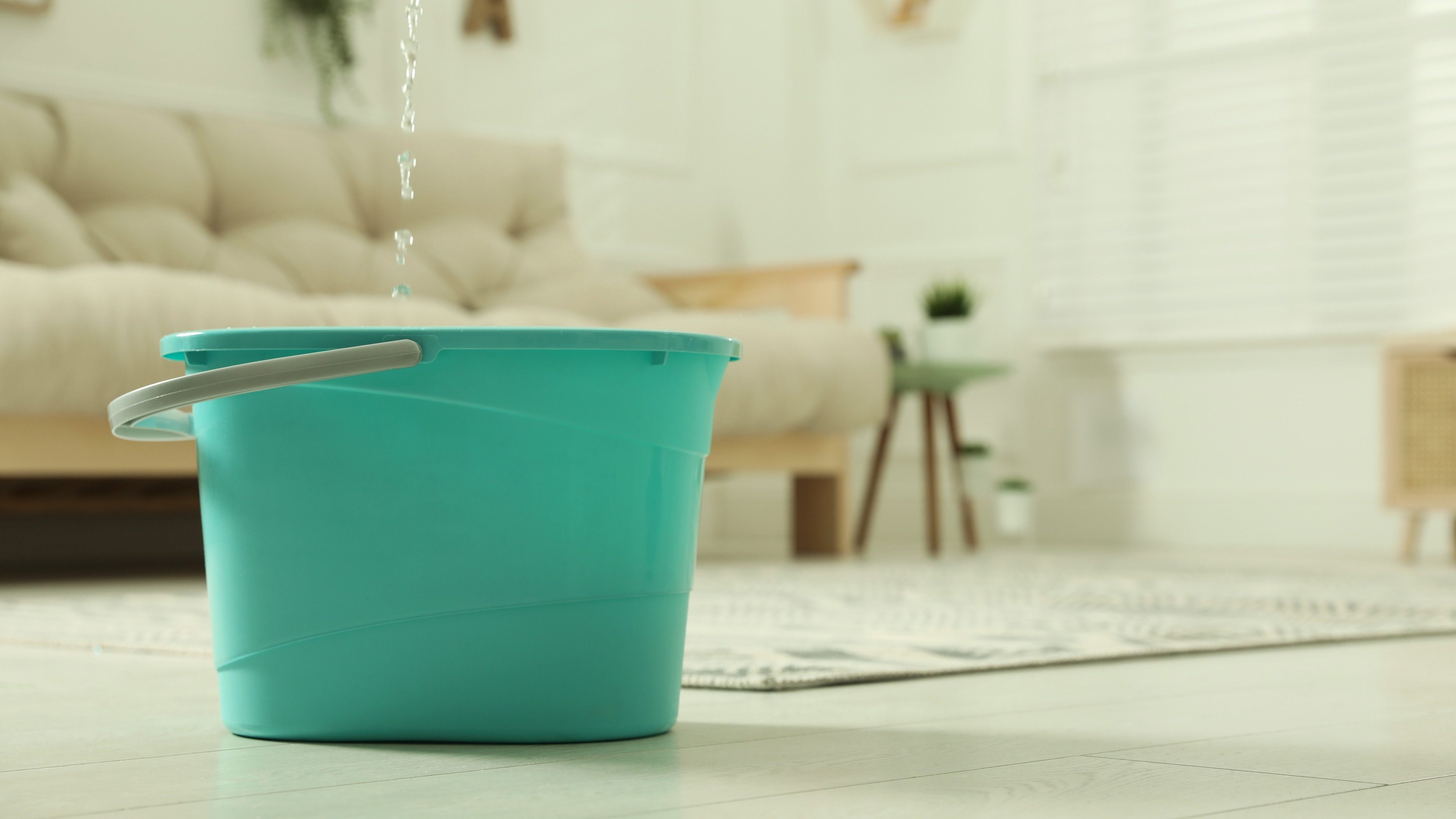 Water dripping from ceiling into plastic bucket on floor in living room, space for text. Leaking roof