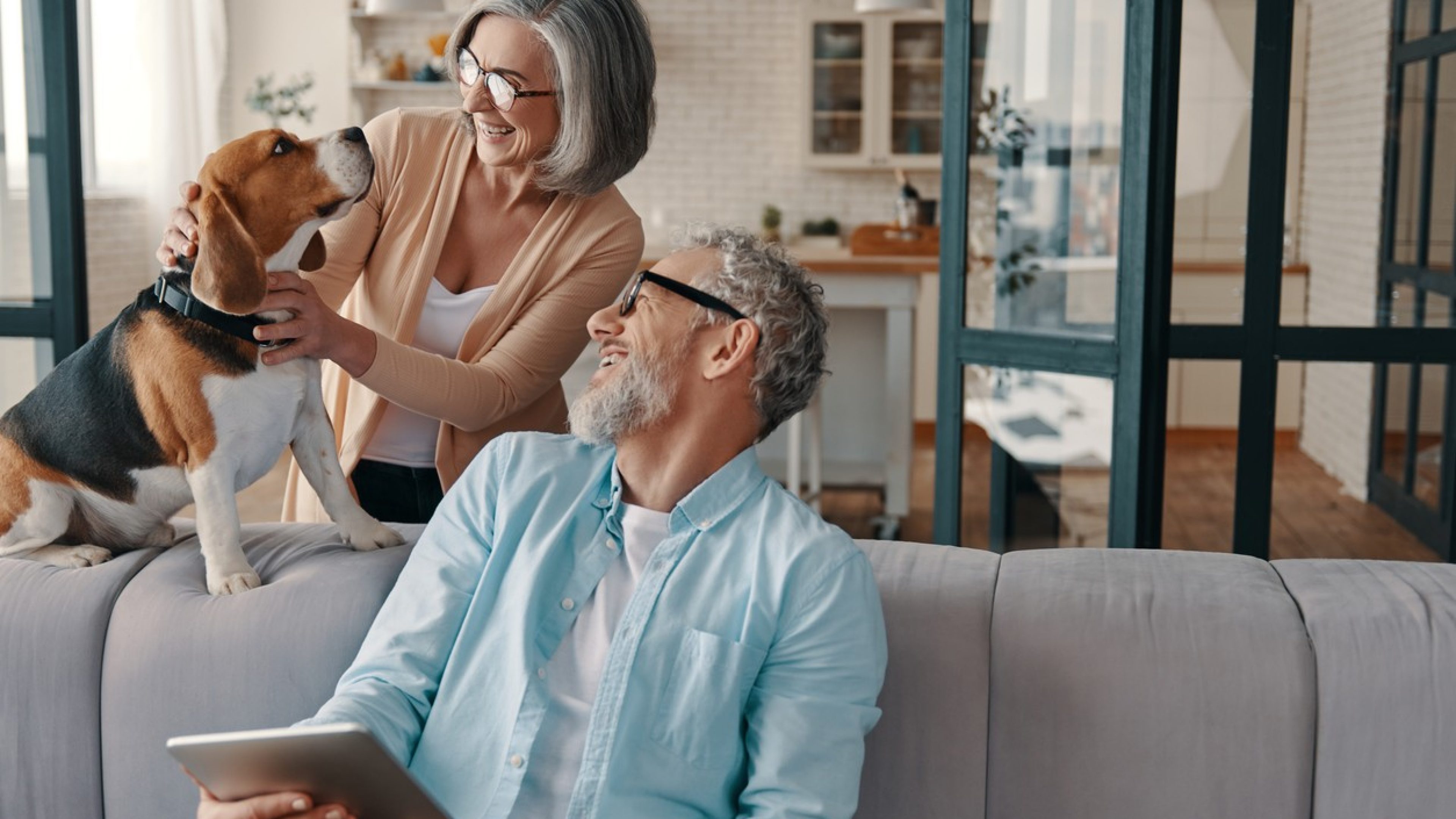 Happy senior couple in casual clothing smiling and taking care of their dog while bonding together at home