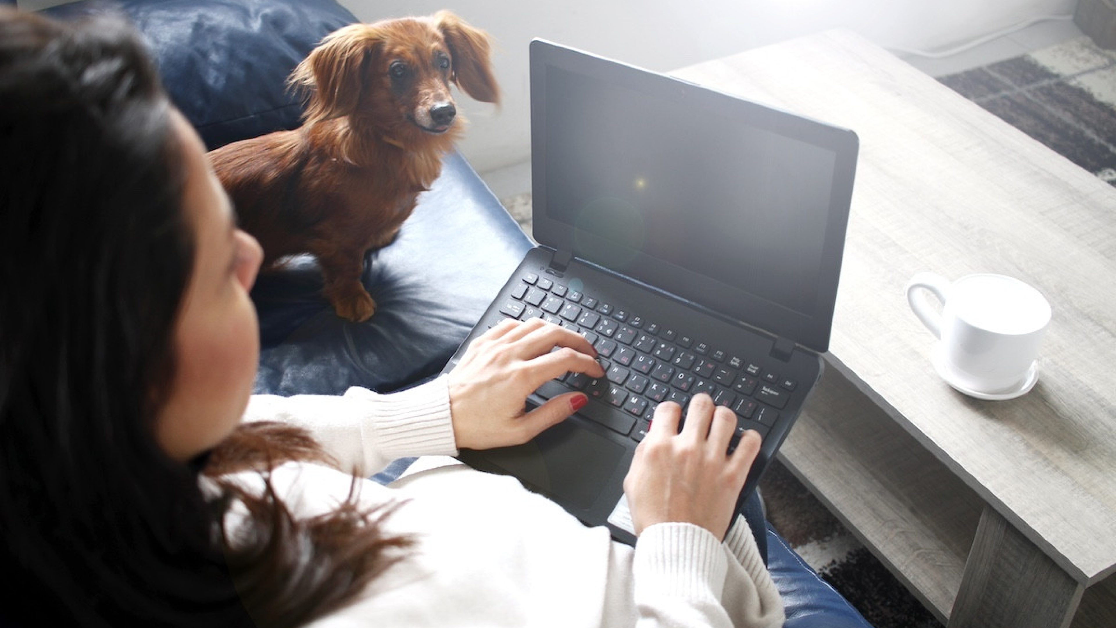 Brunette woman typing on keyboard on a laptop, with coffee mug in front of her and dog next to her