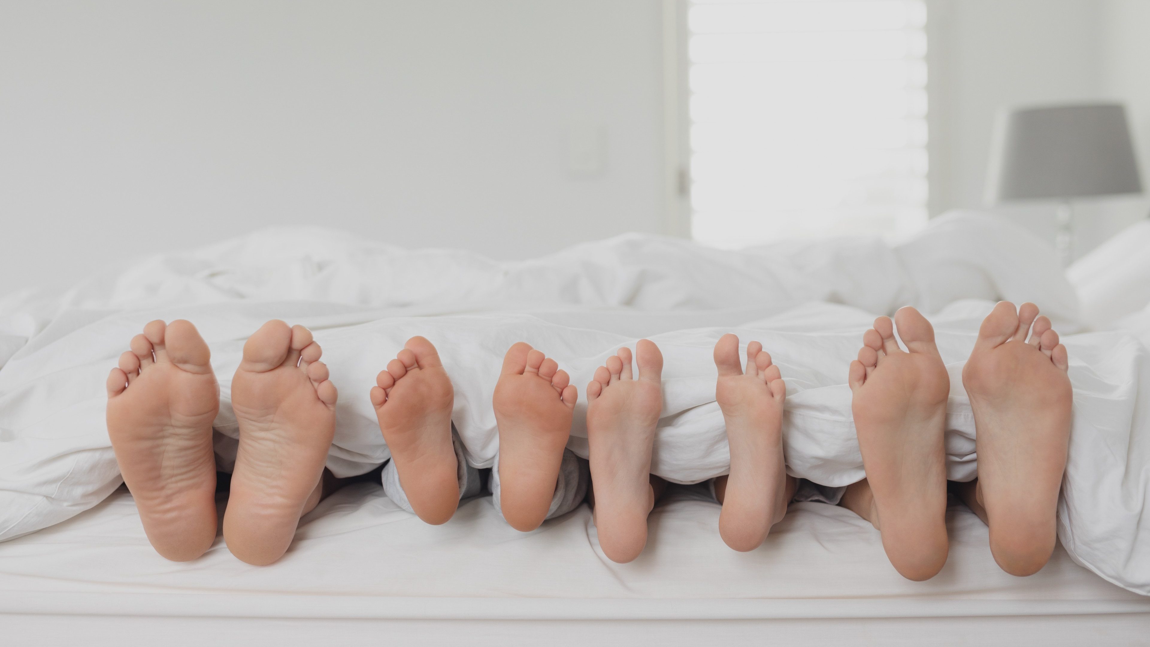 Front view of Caucasian family feet under blanket in bed in bedroom at home