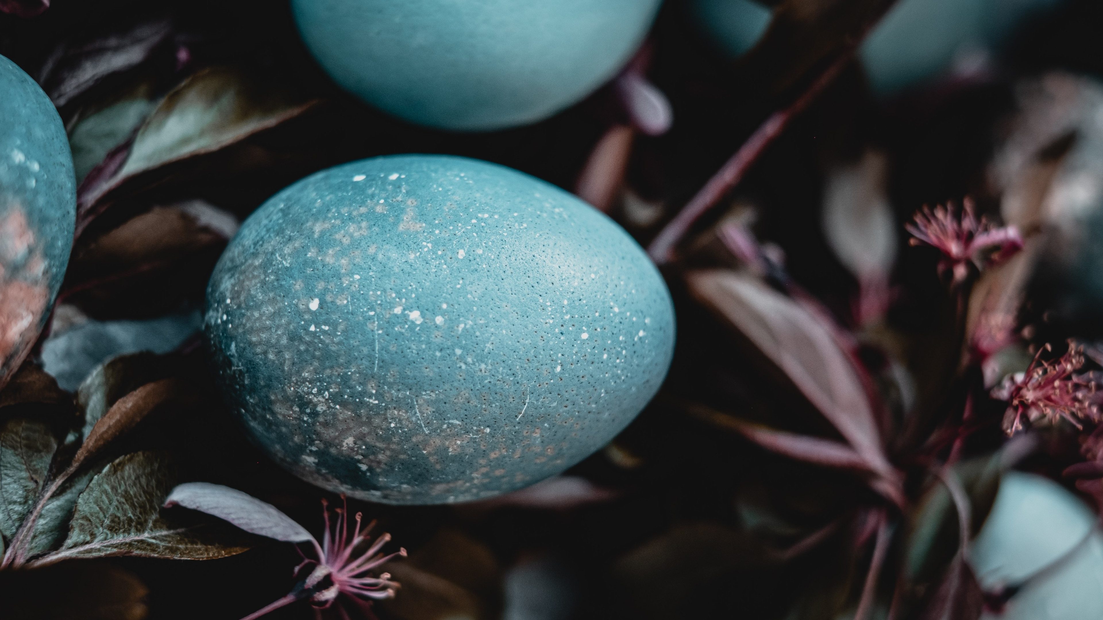 ostern_dessy-dimcheva-DJ4WsGAYikg-unsplash